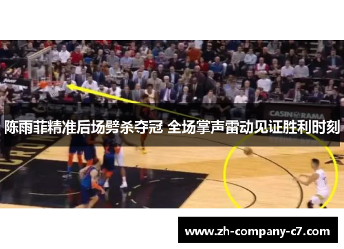 陈雨菲精准后场劈杀夺冠 全场掌声雷动见证胜利时刻