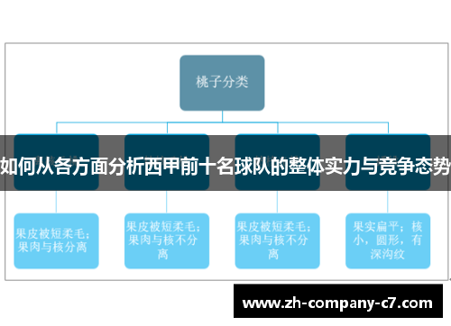 如何从各方面分析西甲前十名球队的整体实力与竞争态势
