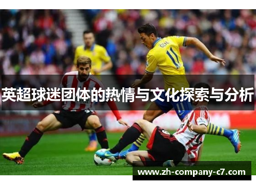 英超球迷团体的热情与文化探索与分析