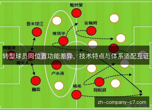 转型球员同位置功能差异，技术特点与体系适配互证